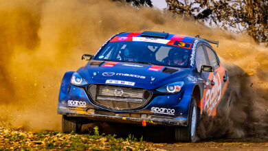 MRF_Algoa_Rally_Strauss