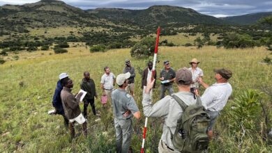 Nedbankaffinity 11 oct