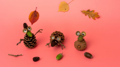 Pinecone animals: How to make them