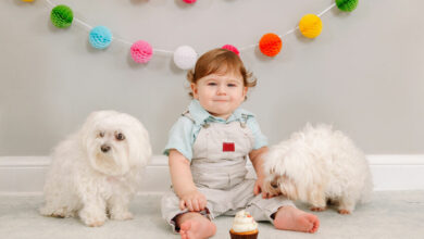 The rules of stress-free party planning