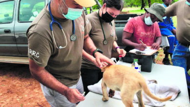 ARRC giving veterinary health services