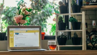 Alice Coetzee - 20-01-2023 0 gardening- indoor plants photo 1 (Medium)