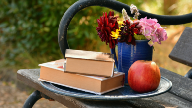 LNN Featured image_2 (13)