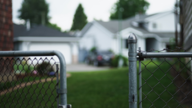 LNN Featured image_2 (3)