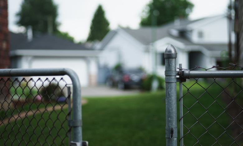 LNN Featured image_2 (3)