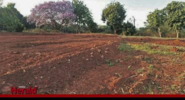 The cleared area for the soccer field at Jetty 3.