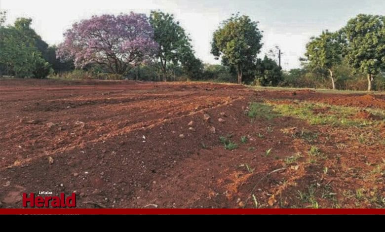 The cleared area for the soccer field at Jetty 3.