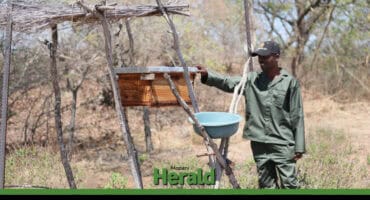Vincent Mabunda inspects one of the beehive boxes placed along the farm fence to prevent elephants from invading crops.