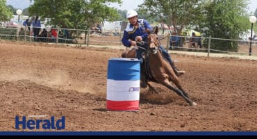 Equestrian rider Gustav Müller competes in a barrel racing event, guiding his horse tightly around a blue, white, and red barrel on a dirt arena. Both rider and horse show focus and speed during the competition, with spectators watching from the background.