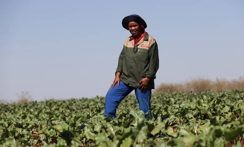 Maria Baloyi standing in a beet field, wearing a dark green and beige jacket, blue trousers and a navy hat, blue sky and trees in the background.