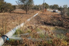 Water was also streaming from thsi pipeline next to the P111 road.