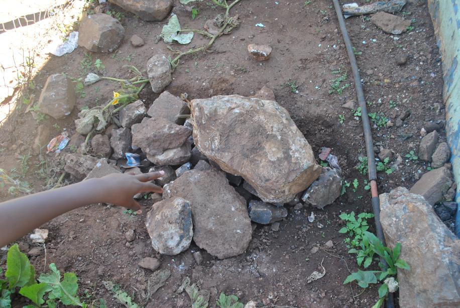 Stones that were used to kill the victim
