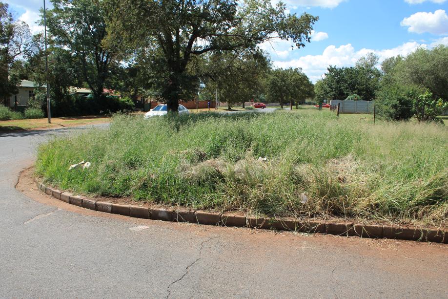 The grass on the sidewalk on the corner of Kaolin and Garnet Street is so long that one cannot see oncoming vehicles.