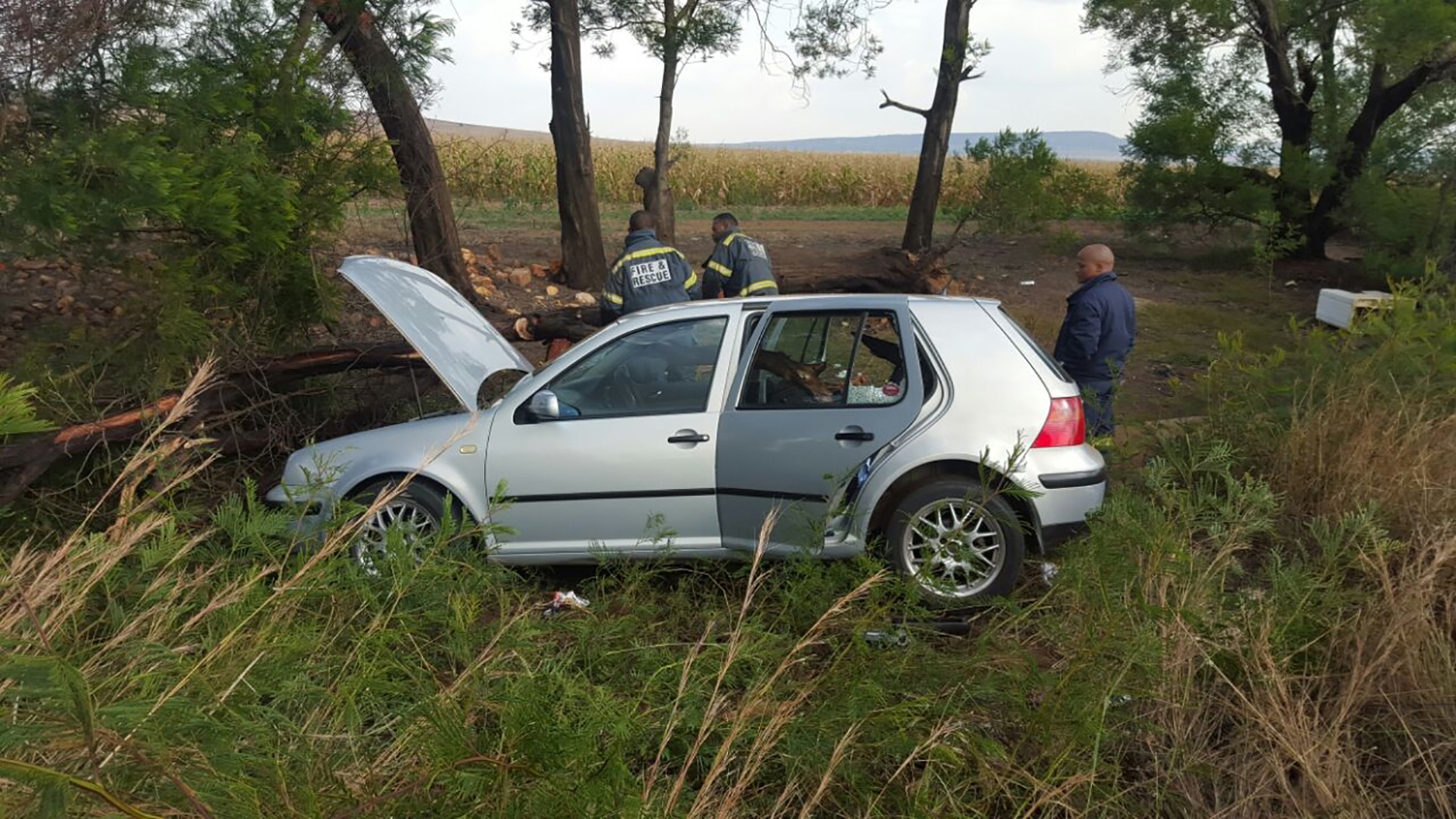 The car that crashed into the tree earlier today.