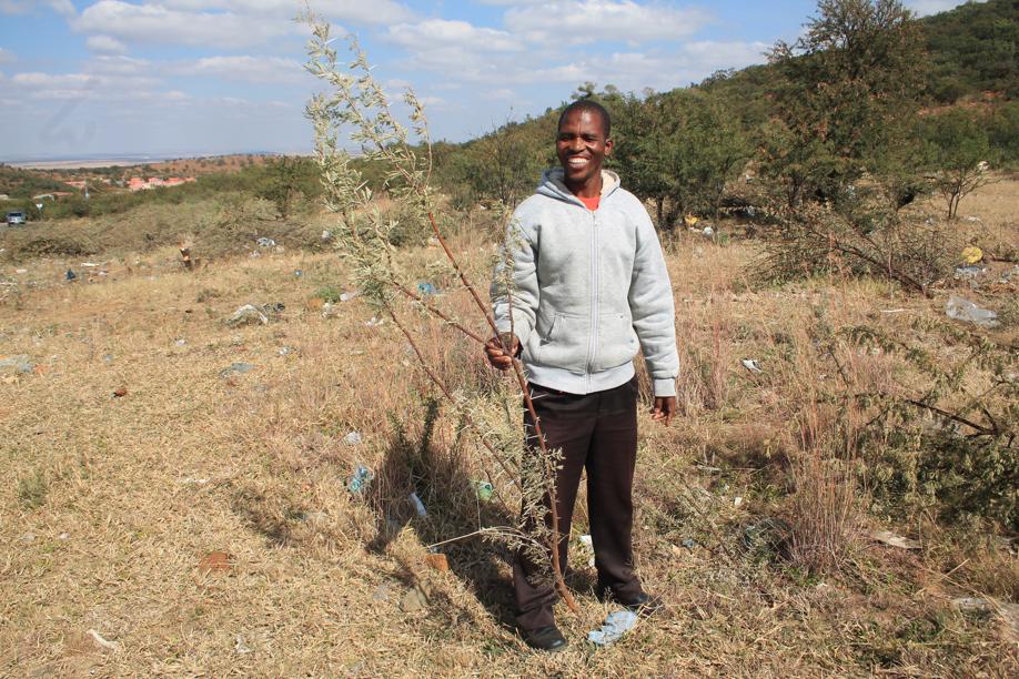 Fuma shows one of the trees that he has cut down.
