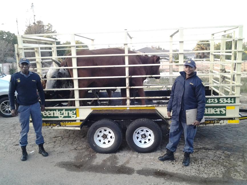 stocktheft