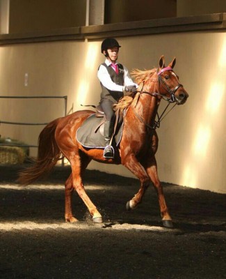 Michael Brauckmann en Lilly wys hul staal.