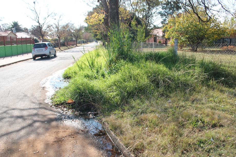 Soveel water het al op die sypaadjie in Anthracitestraat gelek dat gras bykans skouerhooogte begin groei het.