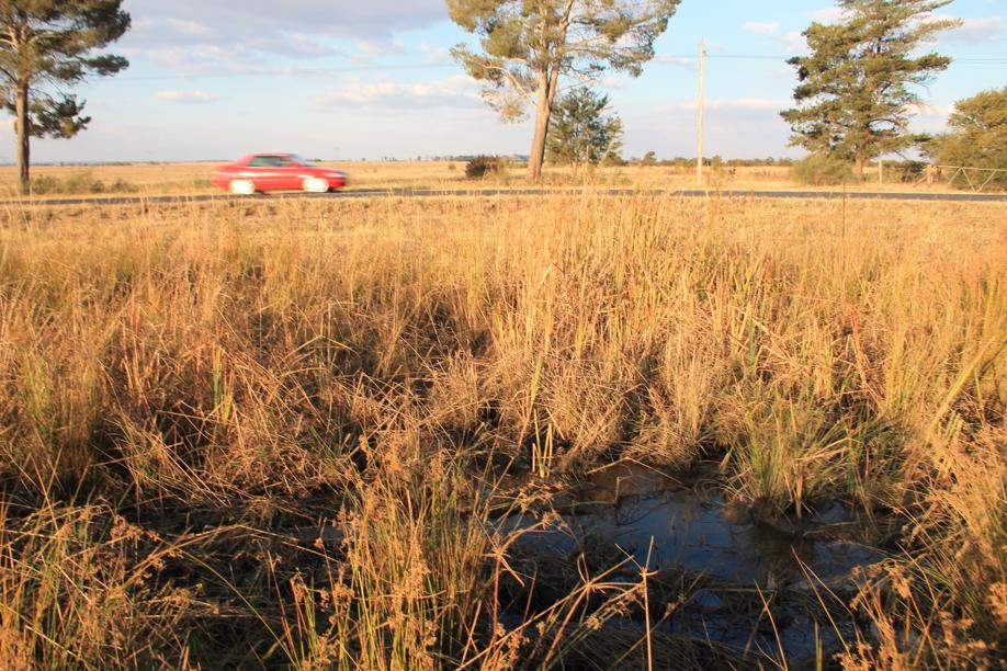 Die waterlek net buite Fochville wat volgens inwoners al drie jaar gelede by die munisipalitiet aangemeld is.