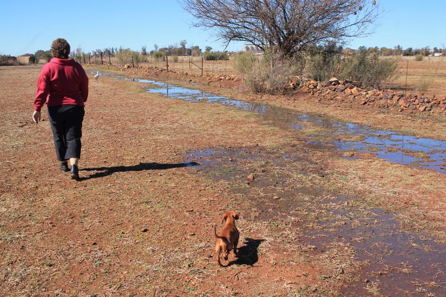 Huge streams of sewage flooded the property as well as that of neighbours.
