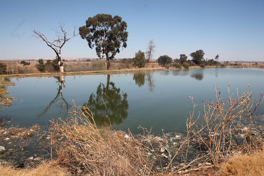 The sewage filled pit.