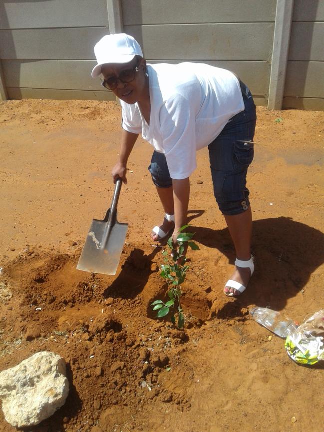 Mrs Mokoena, one of the teachers of the new school, plants a new tree