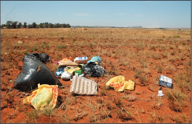 Some of the rubbish alongside the side the JSC's access road.