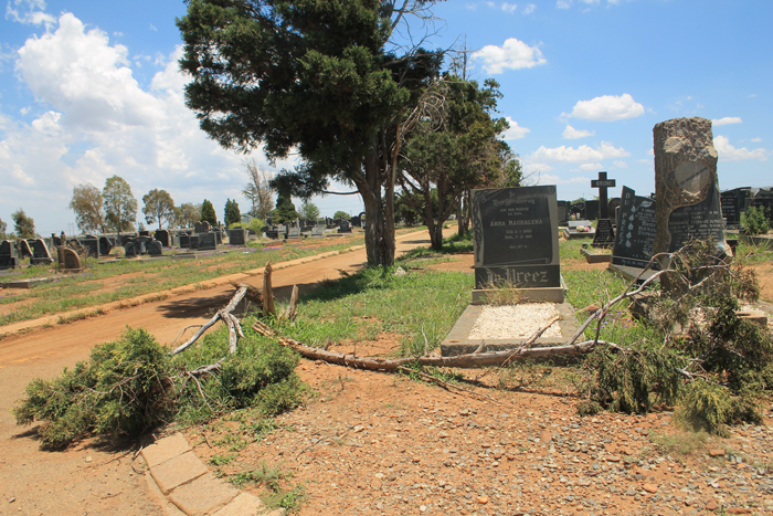 Die boom lê volgens 'n inwoner wat gereeld die begraafplaas besoek, al vir maande langs die grafte.