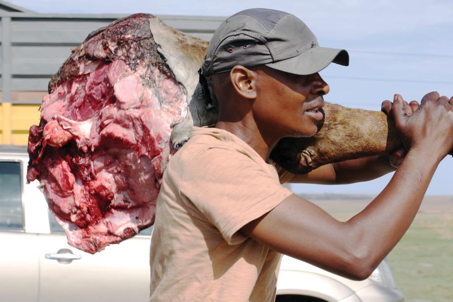 Dinner is served! This man was ‘lucky’ when he went home with this huge chunk of meat on the N1 on Friday.