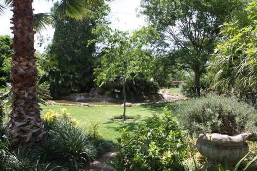 garden4