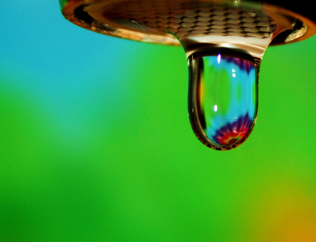 http-_www.flickr.com_photos_pinksherbet_503685059_