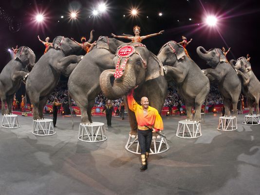 635611398239797109-AP-RINGLING-BROS-BARNUM-BAILEY-JINGLE-CONTEST-70345356