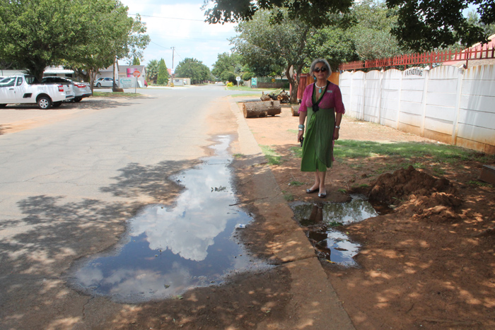 Water meters might also help to bring leakages, such as this recent one in Fochville that has since been repaired, under the attention of homeowners faster.