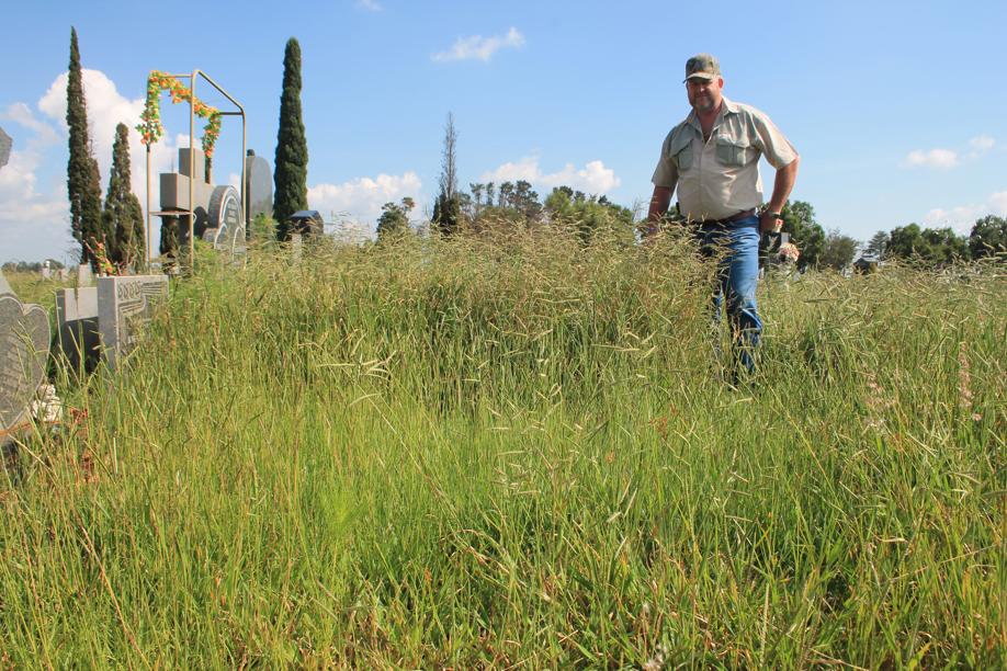 Mnr. Ben van der Walt in van die lang gras in die begraafplaas se tuin-gedeelte.