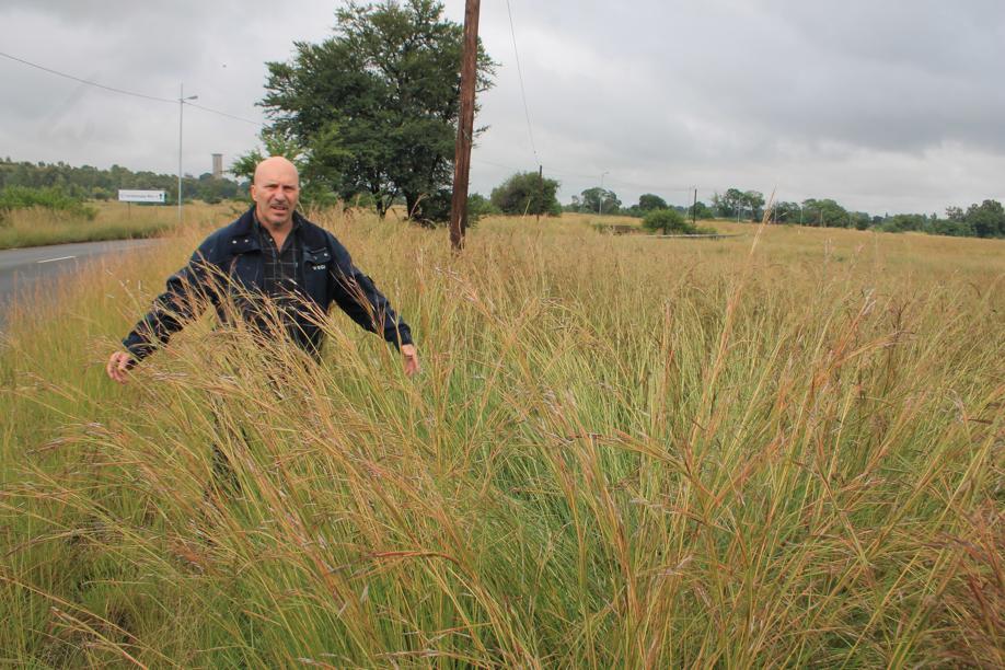 Long grass in many parts of Merafong currently has many resiidents up in arms. According to the Community Policing Forum (CPF) it is also leading to an increase in crime. Here a councillor, Mr Carlos Rebelo, shows how tall the grass in Carletonville's Coronation Street is.