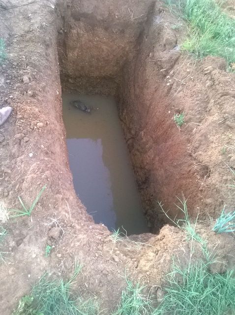 The waterlogged graves at the illegal site.