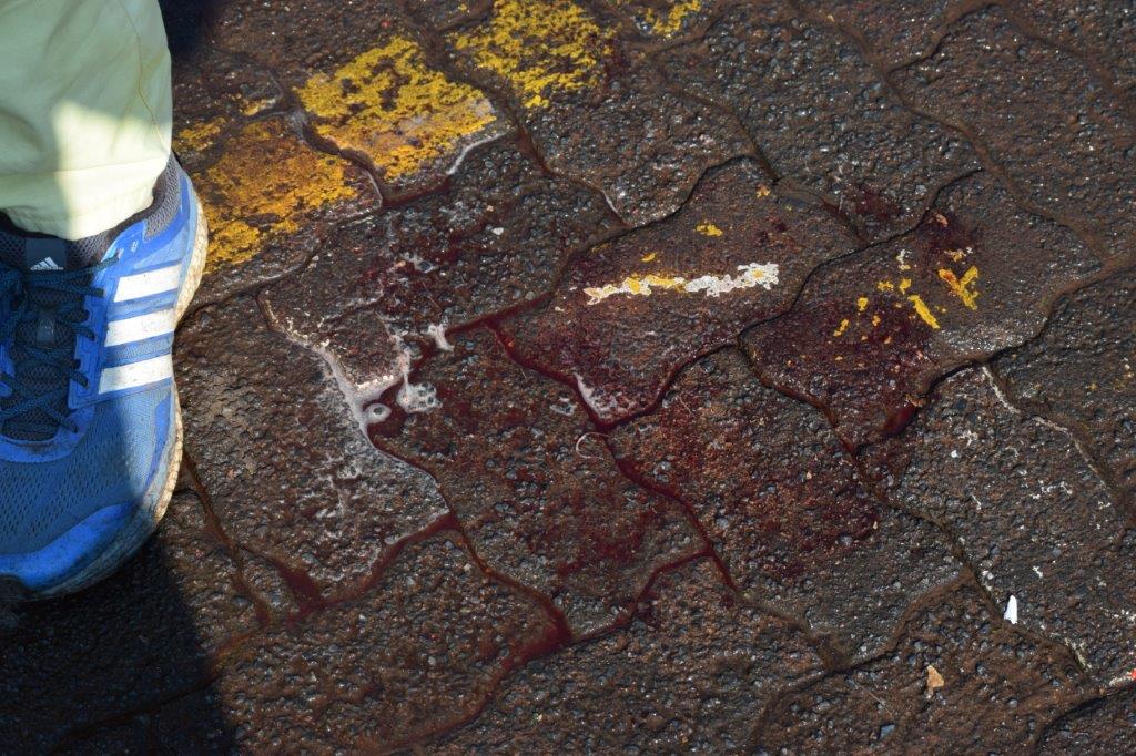 DSC_0036