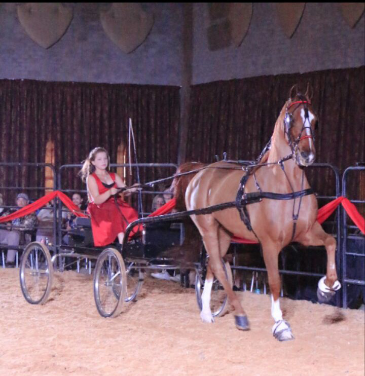 Caelee Johnstone besig om haar vaardigheid te wys.