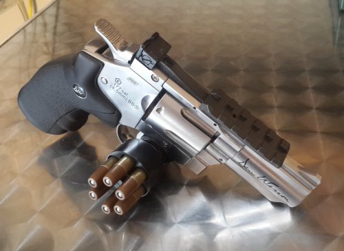 Gun-licence