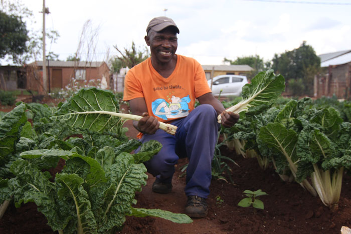 Mr Steven Mbilini in his vegetable garden that he planted on an empty stand.