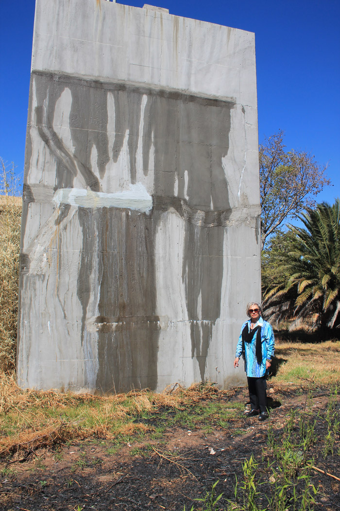 A councillor, Ms Annett Venter, at the Fochville reservoir which is also due to be upgraded.