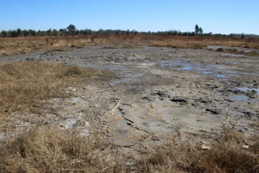 Sludge in veld behind Kleim Street, Carletonville,.