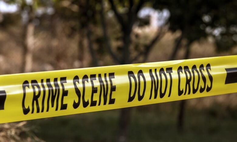 Police crime lint illustration photo