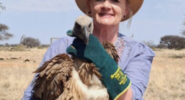 Ester van der Westhuizen-Coetzer with a vulture while doing work in the field.