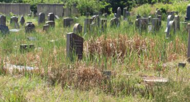 In many places the reeds inside the graveyard are higher than the graves.