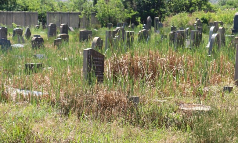 In many places the reeds inside the graveyard are higher than the graves.