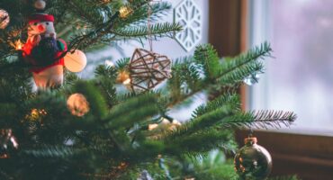 Illustration Christmas tree photo: Craig Adderley for Pexels