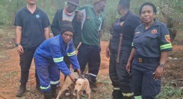 The group who had helped to rescue Survivor.