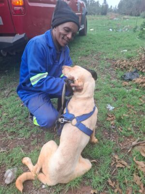 SPCA staff member Jacob Molote with Survivor just after the rescue.