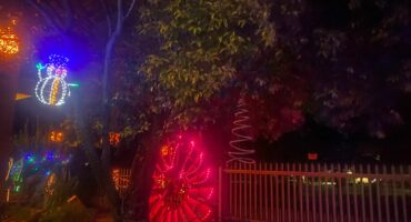 Van die kersliggies wat in die Lourens-gesin se tuin te sien is.